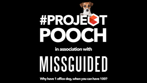 ProjectPooch.png